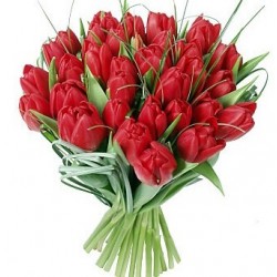 Gran buouquet de tulipanes rojos