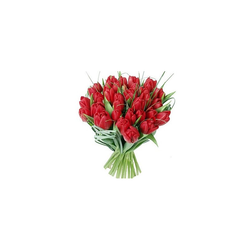 Great buouquet of red tulips