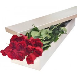 Una docena de rosas rojas en una caja