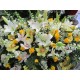 Cuscino di fiori composto con orchidee gialle,orchidee bianche,gigli bianchi rose gialle e fiori complementari