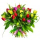 Dar el regalo de los Tulipanes , los tulipanes para su declaración de amor.