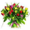 Dar el regalo de los Tulipanes , una simple declaración de amor.