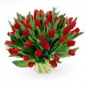 A large Bouquet of red tulips