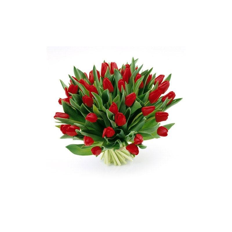 Donner des Tulipes pour votre déclaration d'amour.