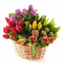 Basket of colorful tulips