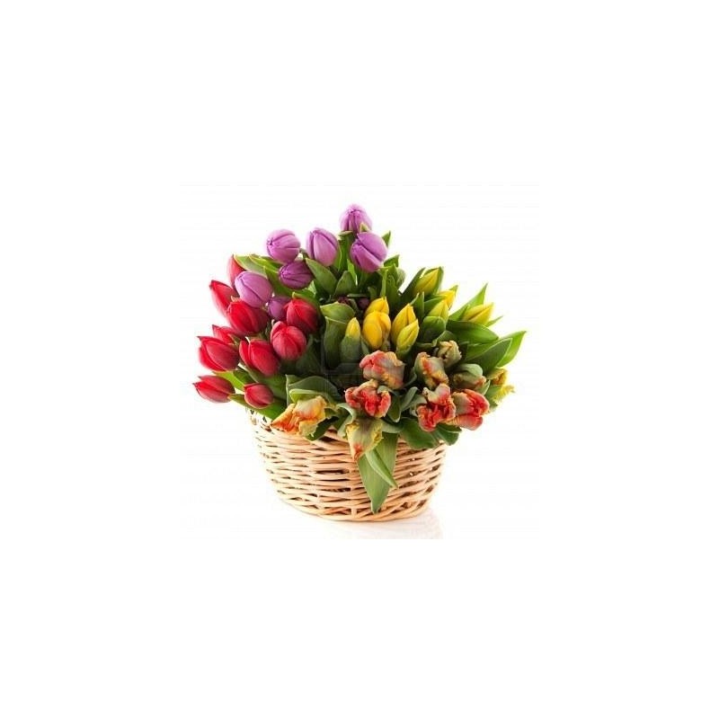 Cesto di tulipani colorati