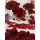 A thousand red roses, the most passionate and romantic gift...