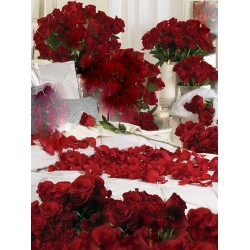O mie de trandafiri rosii, cel mai pasionat și romantic cadou...