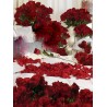 Mille rose rosse il più appassionato e romantico regalo...