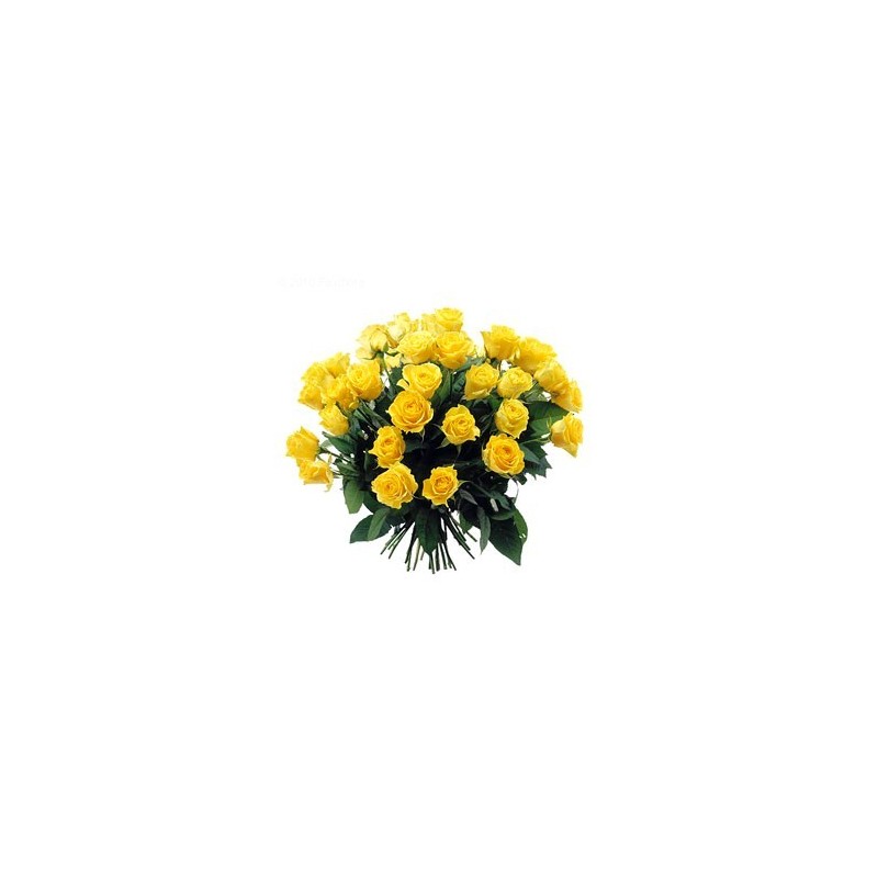 Bouquet of yellow roses yellow