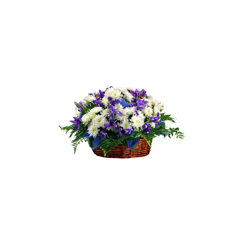 Iris blu e margherite olandesi