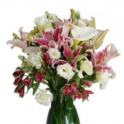 Beam lilium pink and white callas in green leaves.