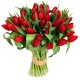 Тюльпани ,романтичне освідчення в коханні.