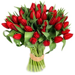 Tulipani rossi,romantica  dichiarazione d'amore.