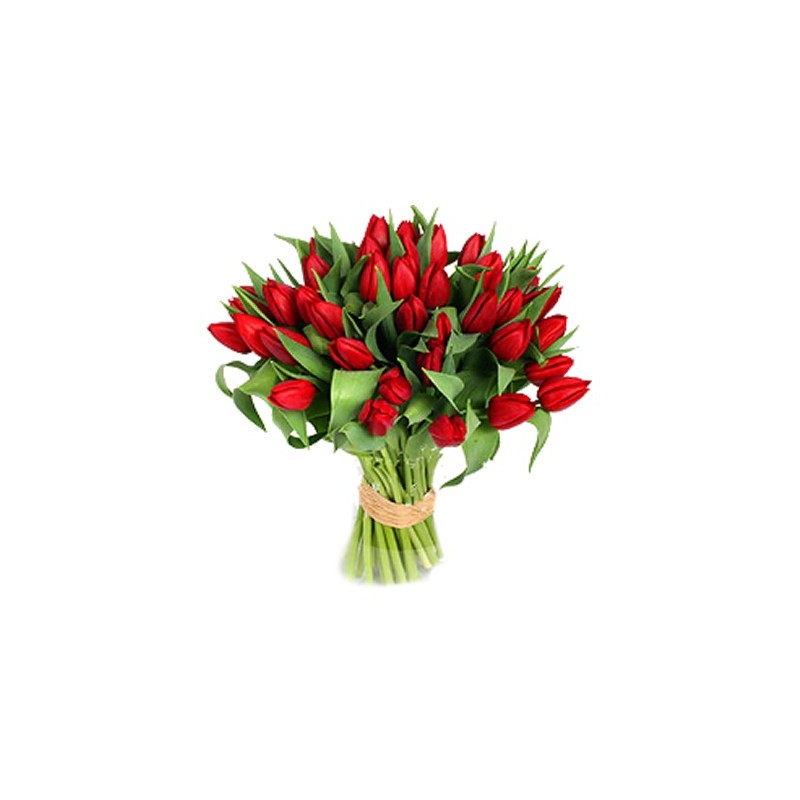 Tulips ,romantic declaration of love.