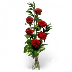 6 red Roses in box 