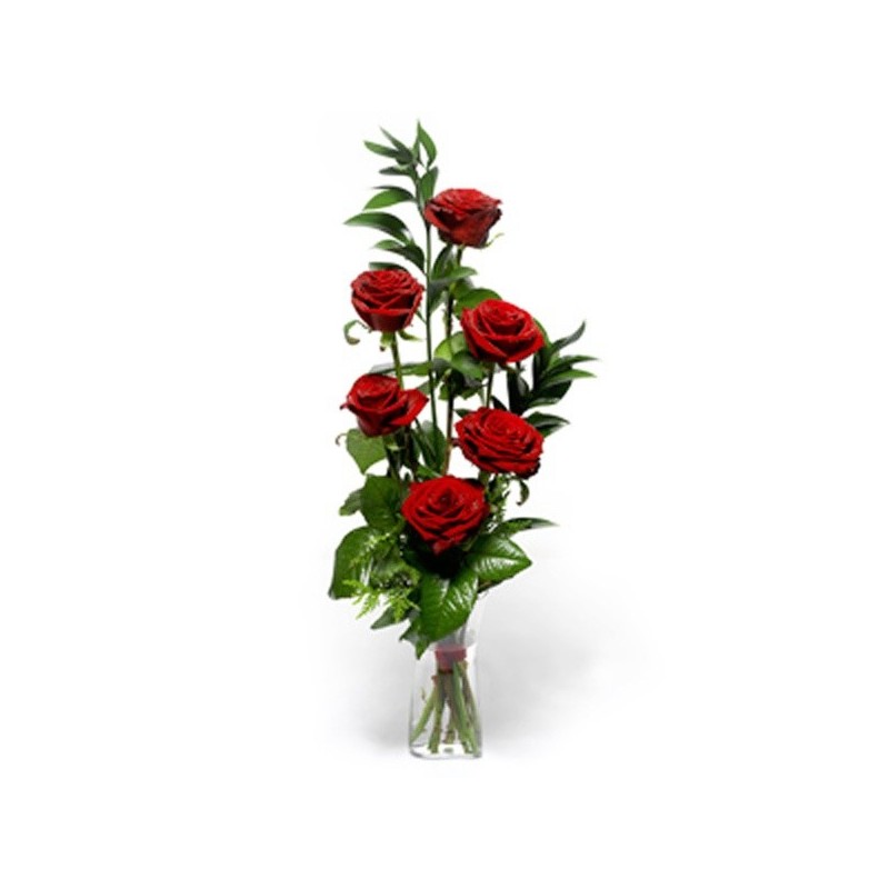 6 Rose rosse in confezione 