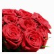 13 rose rosse in confezione