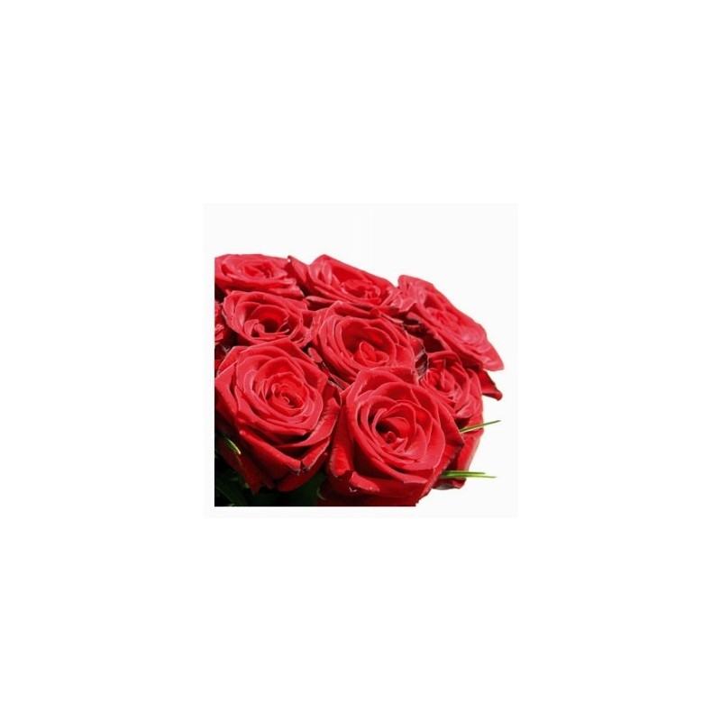 13 red roses in box