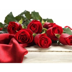 8 red Roses in box 