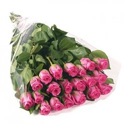 6 pink Roses