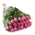 12 pink Roses