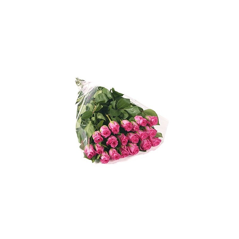 11 pink Roses