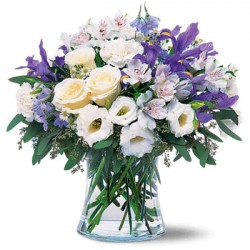Combinación de rosas, iris-clavel-alstroemeria
