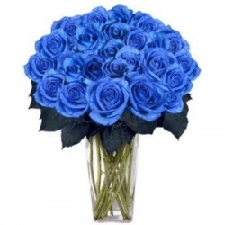 Occhi Blu ,bouquet con 18 rose blu.