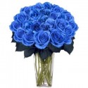  Ojos azules ,un ramo de flores, de 25 de rosas azules.