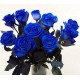 6 Rose Blu