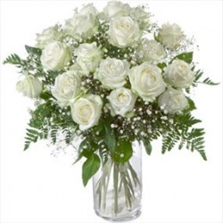18 roses blanches
