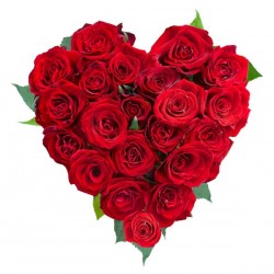  San Valentino1  -mazzo di  7 rose rosse in fogli di verde