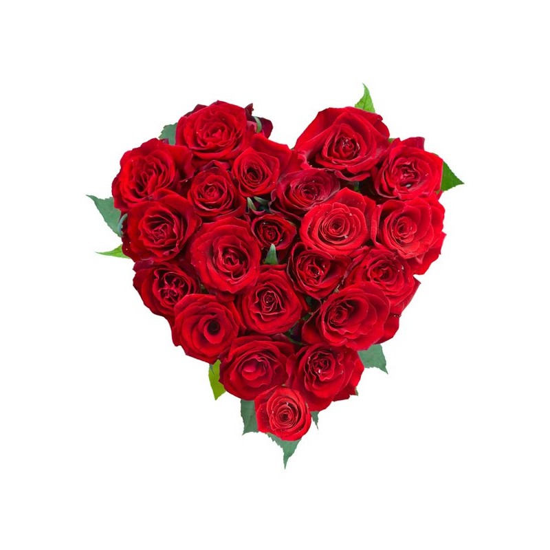  San Valentino1 -bouquet of 7 red roses green leaves