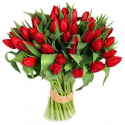  San Valentino11 -Bouquet de Tulipes rouges 