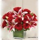  San Valentino13 - Bouquet rosso e gigli rosa in cubo di vetro