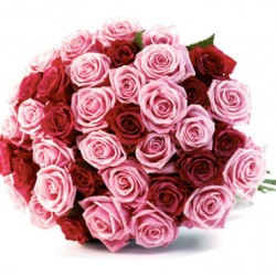 Bouquet di 40 roselline rosse e rosa