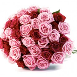Bouquet of 40 roses red and pink