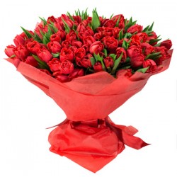  Bouquet di 100 tulipani rossi  