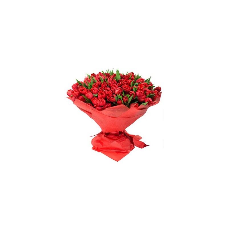  Buchet de 100 de lalele rosii 