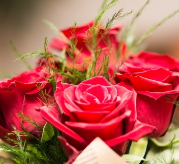 Consegna fiori a Roma: l’amore eterno corre da un capo all’altro della città  eterna