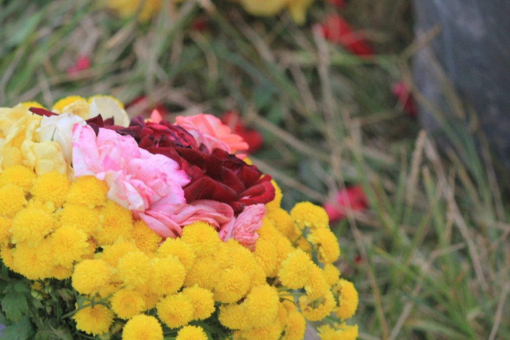Mimose con rose